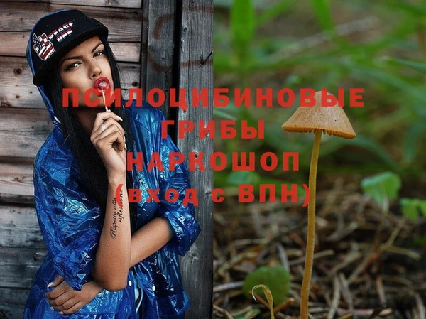 не бодяженный Богородск