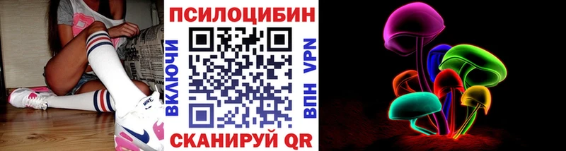 Купить закладки Емва Псилоцибиновые грибы Cubensis